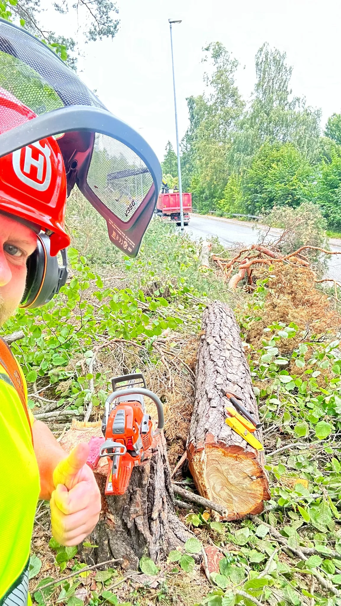 Daniel vid utfört trädfällningsarbete med motorsåg