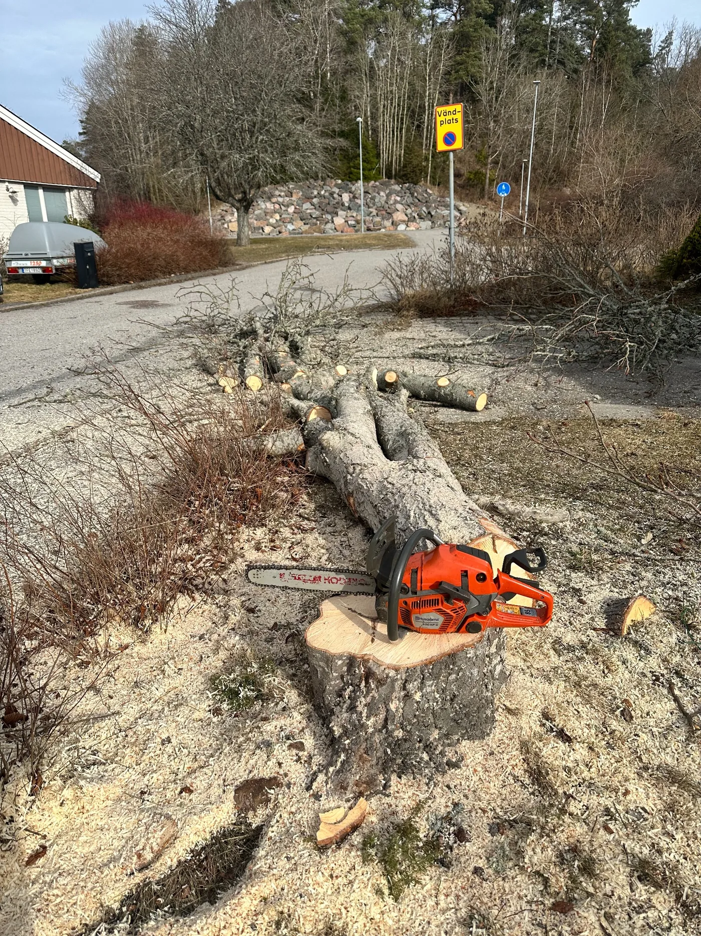 Fällt träd uppkapat på plats med motorsåg